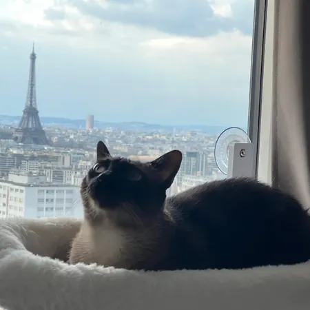 홈스테이 Privee Dans Vue Imprenable Sur La Tour Eiffel