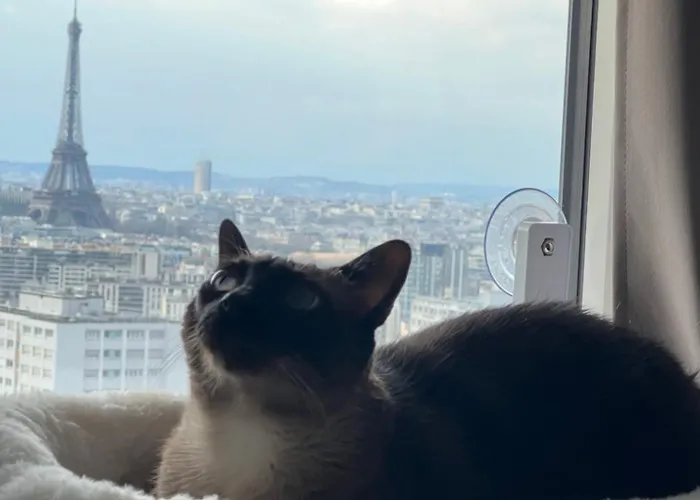 Accommodatie bij particulieren Privee Dans Vue Imprenable Sur La Tour Eiffel